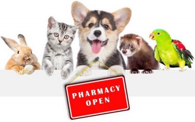 Purr-fecting Pet Health in Your Pharmacy